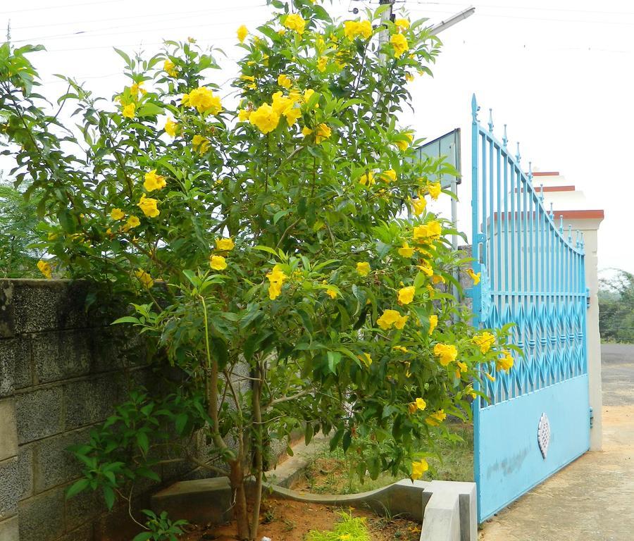 Stella Maris B&B กันยากุมารี ภายนอก รูปภาพ